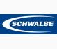 Schwalbe